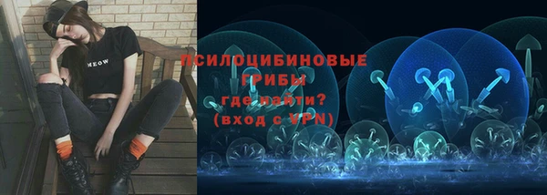 экстази Арсеньев