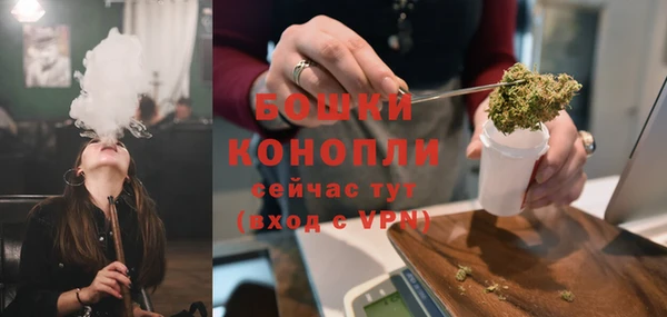 Альфа ПВП Аркадак