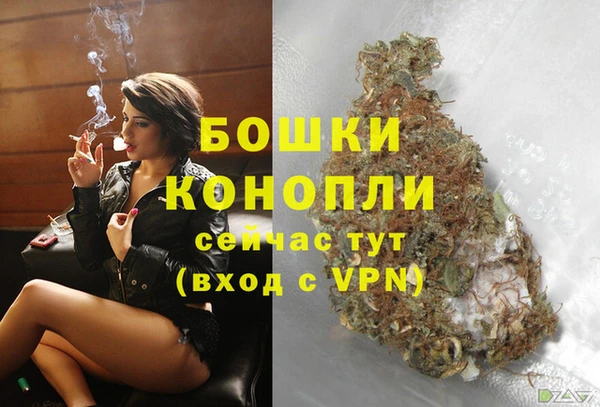 Альфа ПВП Аркадак