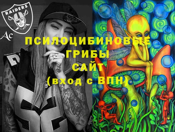 экстази Арсеньев